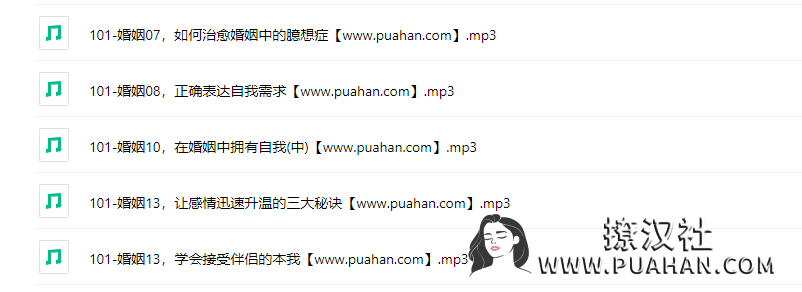 崔雷《101天成长计划》花镇精品课程