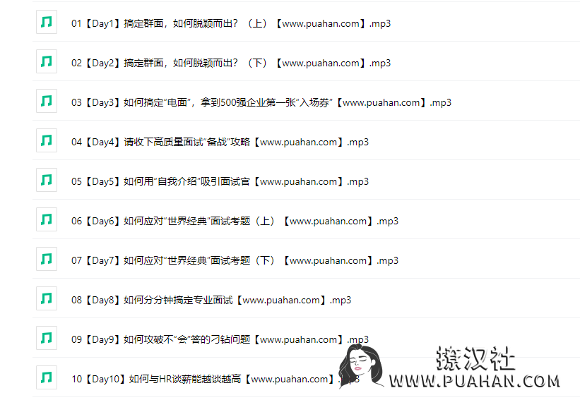 Chic原醉《战无不胜的500强面试通关指南》