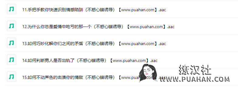 不惑老师《心锚课》花镇情感15节