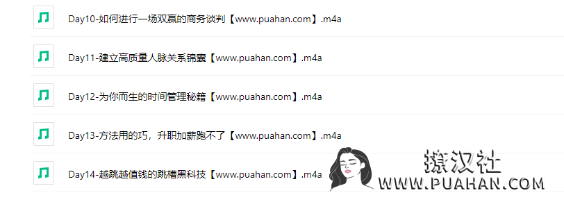 Chic原醉《颠覆认知的职场快速进化论》