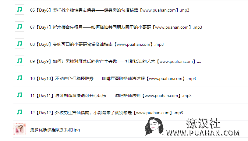 Chic原醉《高阶校园男神收割机修炼心法》