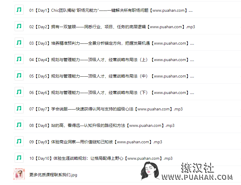 Chic原醉《职场精英必备的元能力修炼术》